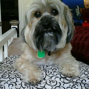 Meet your Posher, Elizabeth